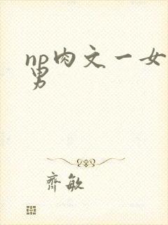 np肉文一女多男封面