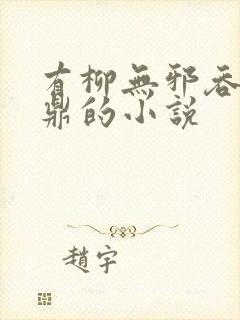 有柳无邪吞天神鼎的小说