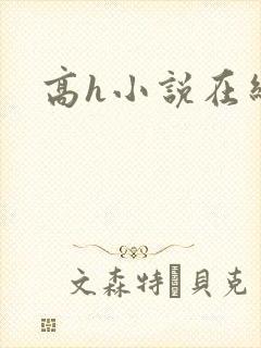 高h小说在线看