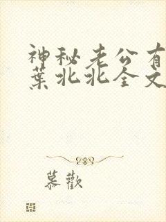 神秘老公有点坏叶北北全文免费阅读