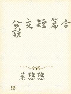 公交短篇合集小说