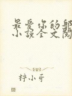 最爱你的那十年小说全文阅读免费封面