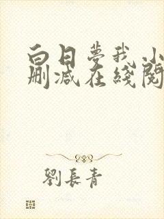 白日梦我小说无删减在线阅读