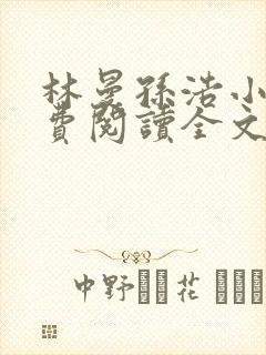 林曼孙浩小说免费阅读全文最新章节