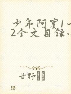 少年阿宾1～72全文目录小说