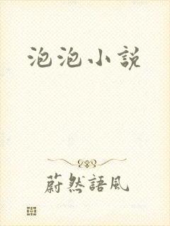 泡泡小说