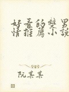 好看的双男主言情推荐小说