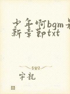 少年啊bgm最新章节txt