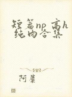 短篇np 高h 纯肉合集