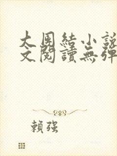 大团结小说集全文阅读无弹窗