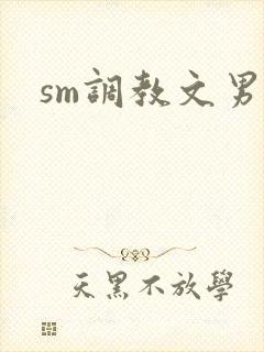 sm调教文男男