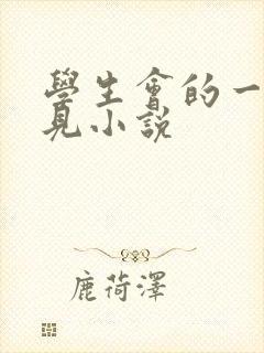 学生会的一己之见小说