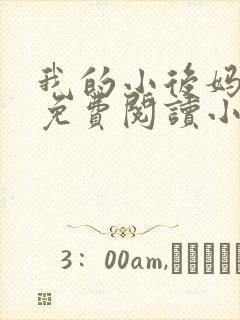 我的小后妈全文免费阅读小说封面