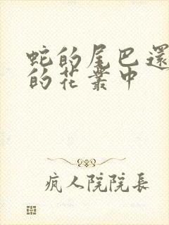 蛇的尾巴还在我的花丛中