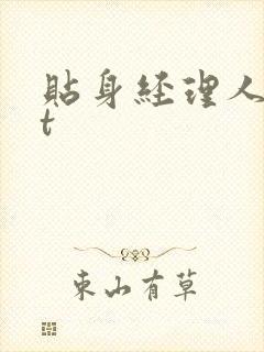 贴身经理人txt