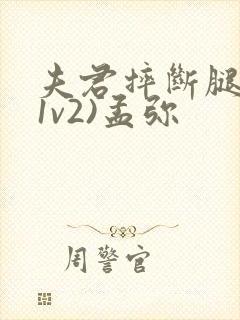 夫君摔断腿后(1v2)孟弥
