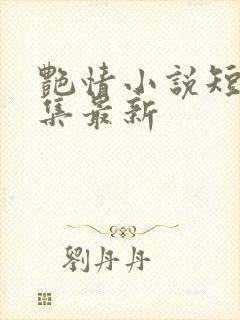 艳情小说短篇合集最新封面
