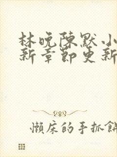 林晚陈默小说最新章节更新时间