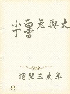 小白兔与大灰狼丁当