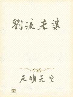 刘流老婆封面