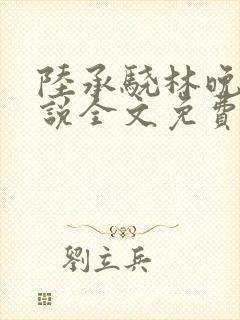 陆承骁林晚星小说全文免费阅读最新
