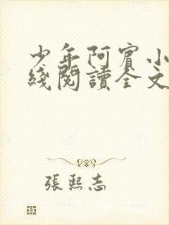 少年阿宾小说在线阅读全文免费封面