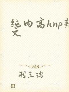 纯肉高hnp辣文封面
