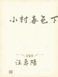 小村春色下载