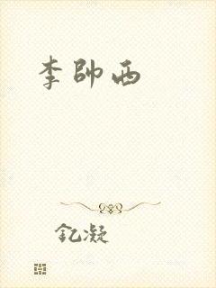李帅西封面