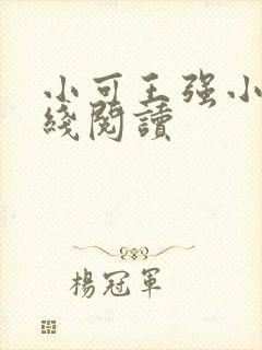 小可王强小说在线阅读