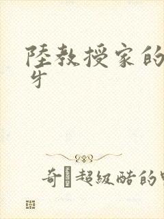 陆教授家的小月牙