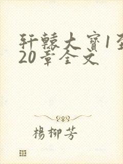 轩辕大宝1至720章全文
