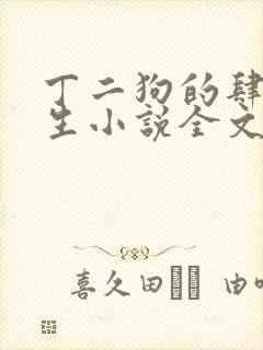 丁二狗的肆意人生小说全文下载