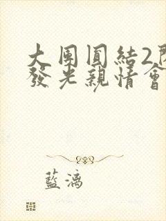 大团圆结2闪闪发光亲情会