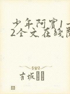 少年阿宾1一72全文在线阅读封面