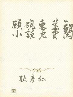 顾砚东叶知安的小说免费阅读全文