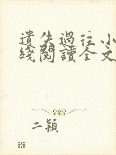 遗失过往小说在线阅读全文无弹窗