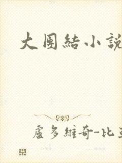 大团结小说下载