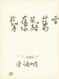 我在风花雪月里等你结局