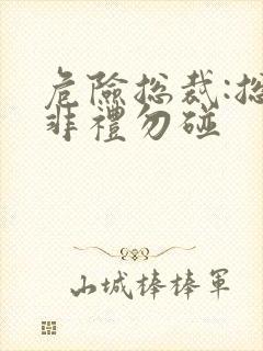 危险总裁:总裁非礼勿碰