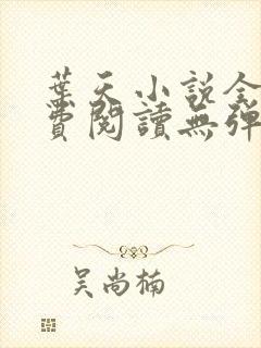 叶天小说全文免费阅读无弹窗