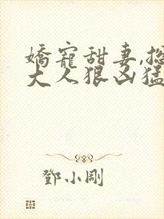 娇宠甜妻,总裁大人狠凶猛