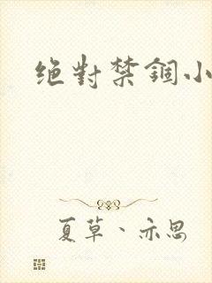 绝对禁锢小说封面