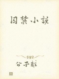 囚禁小说封面