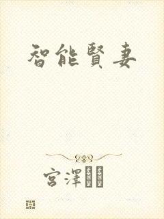 智能贤妻