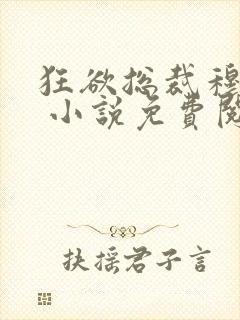 狂欲总裁穆非雪 小说免费阅读封面