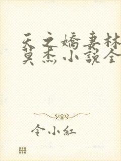 天之娇妻林珊珊莫杰小说全文阅读