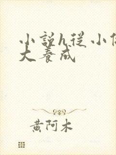 小说h从小做到大养成封面