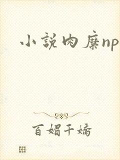 小说肉糜np