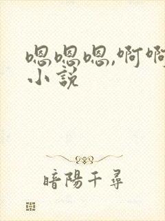 嗯嗯嗯,啊啊啊小说